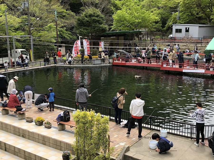 🎣 아리마 계곡 관광 낚시터 (아리마 케이코쿠 칸코 츠리바)